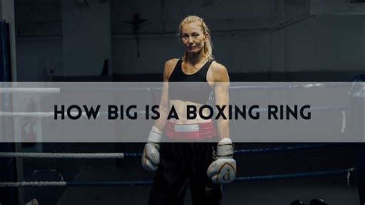 
Aysia Vernell Is A Boxing Ring Girl: 10 Facts You Need To Know 